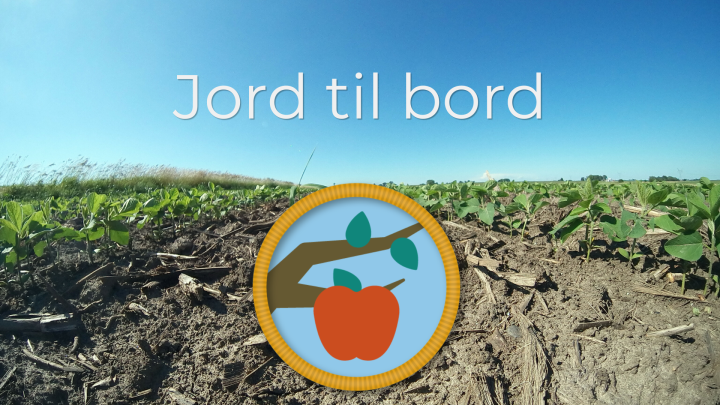 Jord til bord